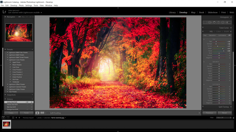 So Verwandeln Sie Den Herbst In Lightroom In Den Sommer Und Erstellen Sie In Photoshop Lichteffekte