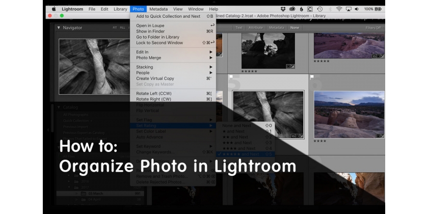 Cómo Organizar tus Fotos en Lightroom