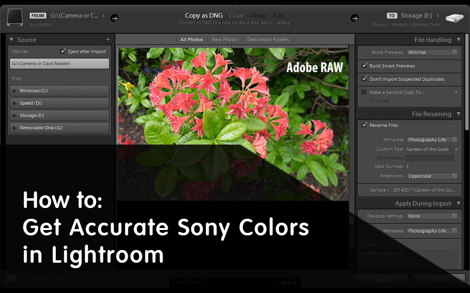 Cómo Obtener Colores Precisos de Sony en Lightroom