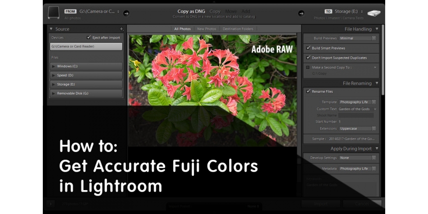 So erhalten Sie genaue Fuji-Farben in Lightroom