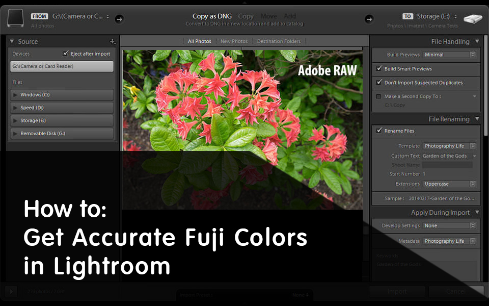 Come Ottenere Colori Fuji Accurati in Lightroom