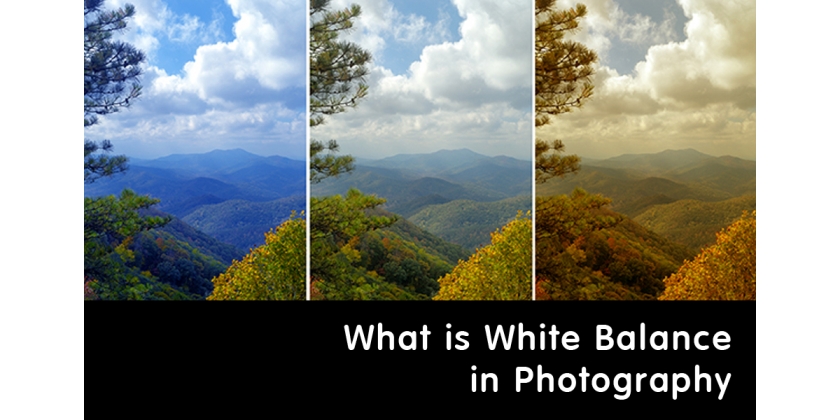 Cos'è l'Equilibrio del Bianco nella Fotografia
