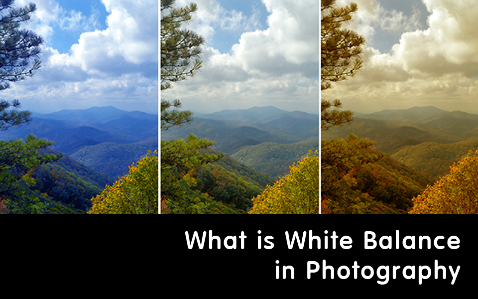 Cos'è l'Equilibrio del Bianco nella Fotografia