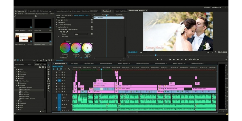 Installieren Sie LUT-Voreinstellungen in Adobe Premiere
