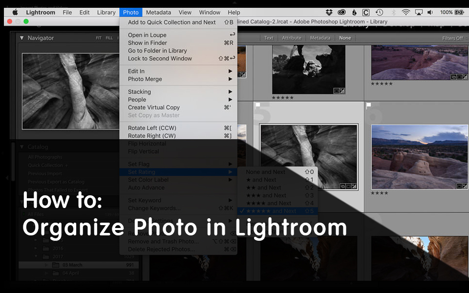 Cómo Organizar tus Fotos en Lightroom