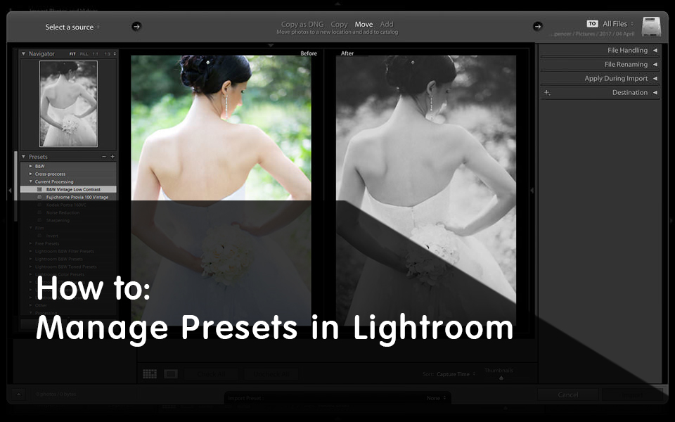 Verwalten von Presets in Lightroom