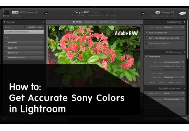 So erhalten Sie genaue Sony-Farben in Lightroom