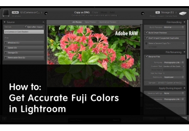 How to Get Accurate Fuji Colors in Lightroom