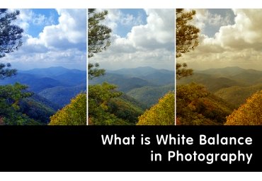 What is White Balance in Photography